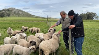 😀 Nos alojamos en el campo 🐑🐑 entre Parajes y Almacenes viejos  Frente al Cerro Redondo Tandil [upl. by Ennovehs146]