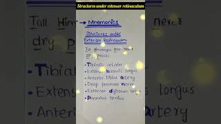 structures under extensor retinaculum mnemonic for extensor retinaculum ayesha medical education [upl. by Animar817]