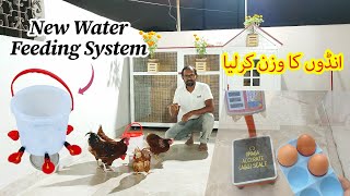 Eggs Weight Done New Water Feeder For Chickens Cage Cleaning [upl. by Neelyaj]