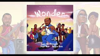 WONDER  LUZY Mr Producer Feat PAPE NOIR BRISCO YIMJO Official Audio [upl. by Eecal]