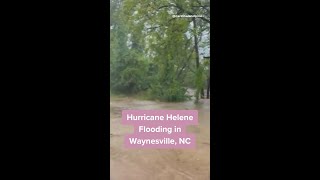 Hurricane Helene flooding in Waynesville NC [upl. by Beaver172]