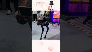 🦾 Rigorous Testing of LimX Dynamics Biped Robot P1 [upl. by Rese]