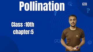 Pollination in urdu Hindi  class 10th  chapter 5 [upl. by Singband]