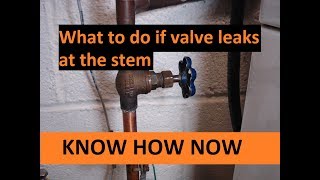 Fix Shut Off Valve Leaking at Stem [upl. by Zelde]