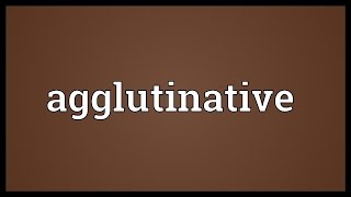 Agglutinative Meaning [upl. by Giamo]