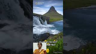 song nadhiyae nadhiyae kadhal nadhiyae tamilsong [upl. by Red]