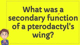 What was a secondary function of a pterodactyls wing [upl. by Anohs]