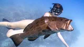 Key West Grouper Limits  Staying in State Waters [upl. by Tippets]