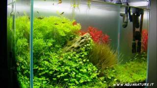 Aqua Tutorial  Come allestire un acquario ELOS parte 2 [upl. by Aivad]