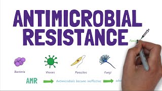 Antimicrobial Resistance AMR Stopping the rise of superbugs [upl. by Attelrahs]