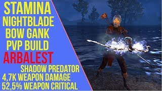 ESO  Stamina Nightblade Bow Gank PVP Build amp Gameplay  Arbalest  Stamblade PVP Build  Dragonhold [upl. by Louanna]