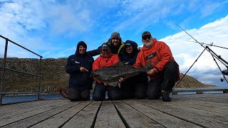 Guided Fishing Norway the hunt for Halibut from the shore [upl. by Idarb]