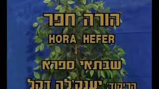 Hora Chefer  Dance  הורה חפר  ריקוד [upl. by Rekoob]