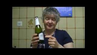 850  Receta Postres Thermomix Sorbete de fresas con champagne [upl. by Lecia]