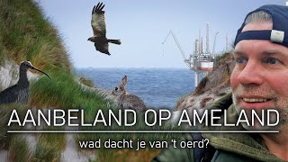 69  AANBELAND OP AMELAND  wad dacht je van t oerd [upl. by Atel618]