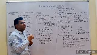 MYCOPHENOLATE MOFETILMFA [upl. by Richard]