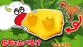 【料理】恐竜やティラノサウルスの化石を発掘して食べる！？スピノサウルスの骨のクッキー作り♪キッズでも作れるお菓子を簡単手作り♪キッチンおままごと・子供向け知育教育★サンサンキッズTV★ [upl. by Amme]