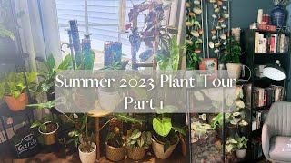 Summer 2023 Houseplant Tour Pt 1 Rare and common 200 Houseplants [upl. by Gwenneth]