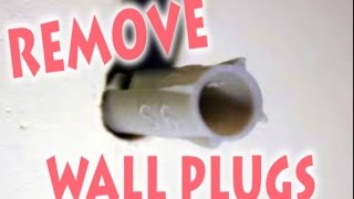 How to Remove Wall Plug Raw PlugScrew Anchor Dowel From The Wall [upl. by Ragucci732]