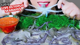 ASMR EATING LIVE OCTOPUS X SEA GRAPES  CRUNCHY CHEWY EATING SOUNDS  LINHASMR [upl. by Nostaw]