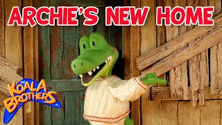 Archies New Home 🏡🐊  KoalaBrothersTV  fullepisode  Childrens Animation Series [upl. by Eldoria]