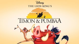 Timon and Pumbaa Theme Song in Hindi  Timon and Pumbaa Theme Song in Hindi with Lyrics [upl. by Retsel]