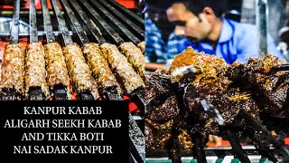 FAMOUS SEEKH KABAB KANPUR SEEKH KEBAB STREET FOOD KANPURALIGARH KEBAB DUKKANSTREETFOOD [upl. by Rap998]