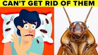 Scientists Explain Why You Cant Get Rid of Cockroaches [upl. by Tychon]