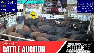 952023  Beaver County Stockyards Livestock Auction [upl. by Pallaten516]