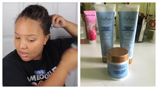 Shea Moisture Manuka Honey amp Yogurt Line Review on Relaxed Hair  Jessica Noelle [upl. by Stochmal]