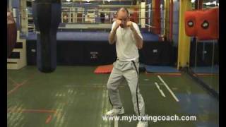 Boxing Techniques  Moving Diagonally Left [upl. by Romeyn557]