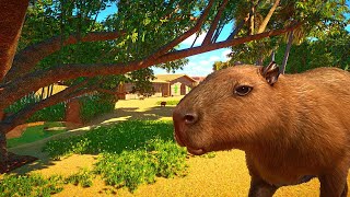 Starting an Ethical Zoo in Planet Zoo Franchise Mode [upl. by Victory]