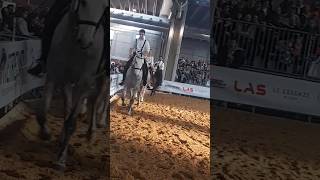 horse cavalli fieracavalliverona [upl. by Hannis]