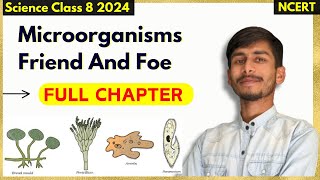 Full Chapter  Microorganisms Friend And Foe Explanation  Class 8 Science Chapter 2 NCERT [upl. by Jory]