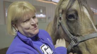 Hippotherapy at GVSU [upl. by Gilliam]