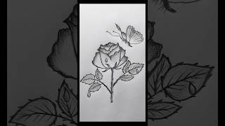 Rose 🌹 Flower drawing with butterfly 🦋 art shorts viral [upl. by Atikihc]