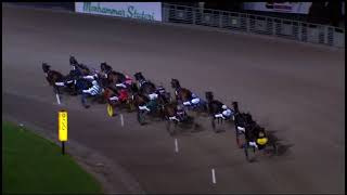 Breeders Crown Semifinal 4yo Fillies 2024  Ester Degli Dei amp Robin Bakker 1117 2140m [upl. by Akiner765]