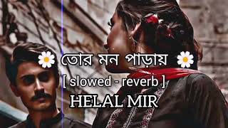 Tor Mon Paray Lofi slowed reverb Mahdi Sultan তোর মন পাড়ায় Jisan Khan Shuvo sai [upl. by Renrew576]