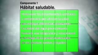 Plan Decenal de Salud Pública Dimensión1 Salud Ambiental [upl. by Endaira74]