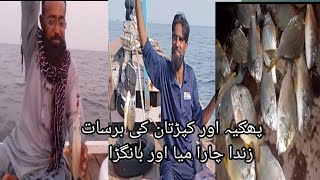 Kemari fishing Karachi 2024 charna fishing [upl. by Socem]