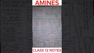 AMINES Class 12 Notes  Handwritten Notes [upl. by Anewor220]