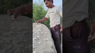 Pakchiyo ke liye choga dala 🐦🐦‍⬛New Video From Masha Vlogging shorts [upl. by Aicekal]