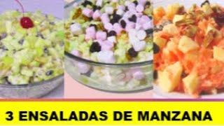 3 ENSALADAS NAVIDEÑAS DE MANZANA [upl. by Meil]