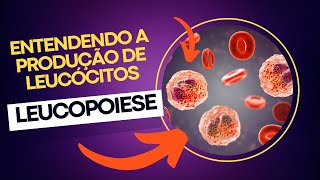 Leucopoiese hematologia curiosidades [upl. by Ailuj]