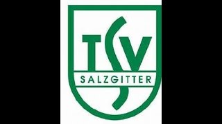 TSV Salzgitter gegen ASV Altenlingen [upl. by Chiaki448]