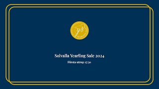 Solvalla Yearling Sale 2024 [upl. by Kcuhc]