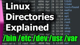 Linux File SystemStructure Explained [upl. by Alleroif]