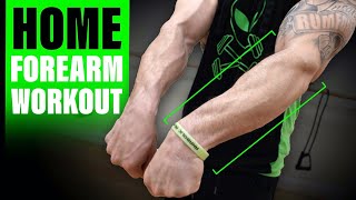 Intense 6 Minute At Home Forearm Workout [upl. by Nerej]