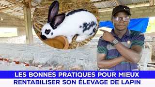 LA BONNE TECHNIQUE POUR RENTABILISER SON ÉLEVAGE DE LAPIN [upl. by Dodd574]