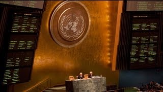 UN General Assembly backs Arab League Syria plan [upl. by Quintie522]